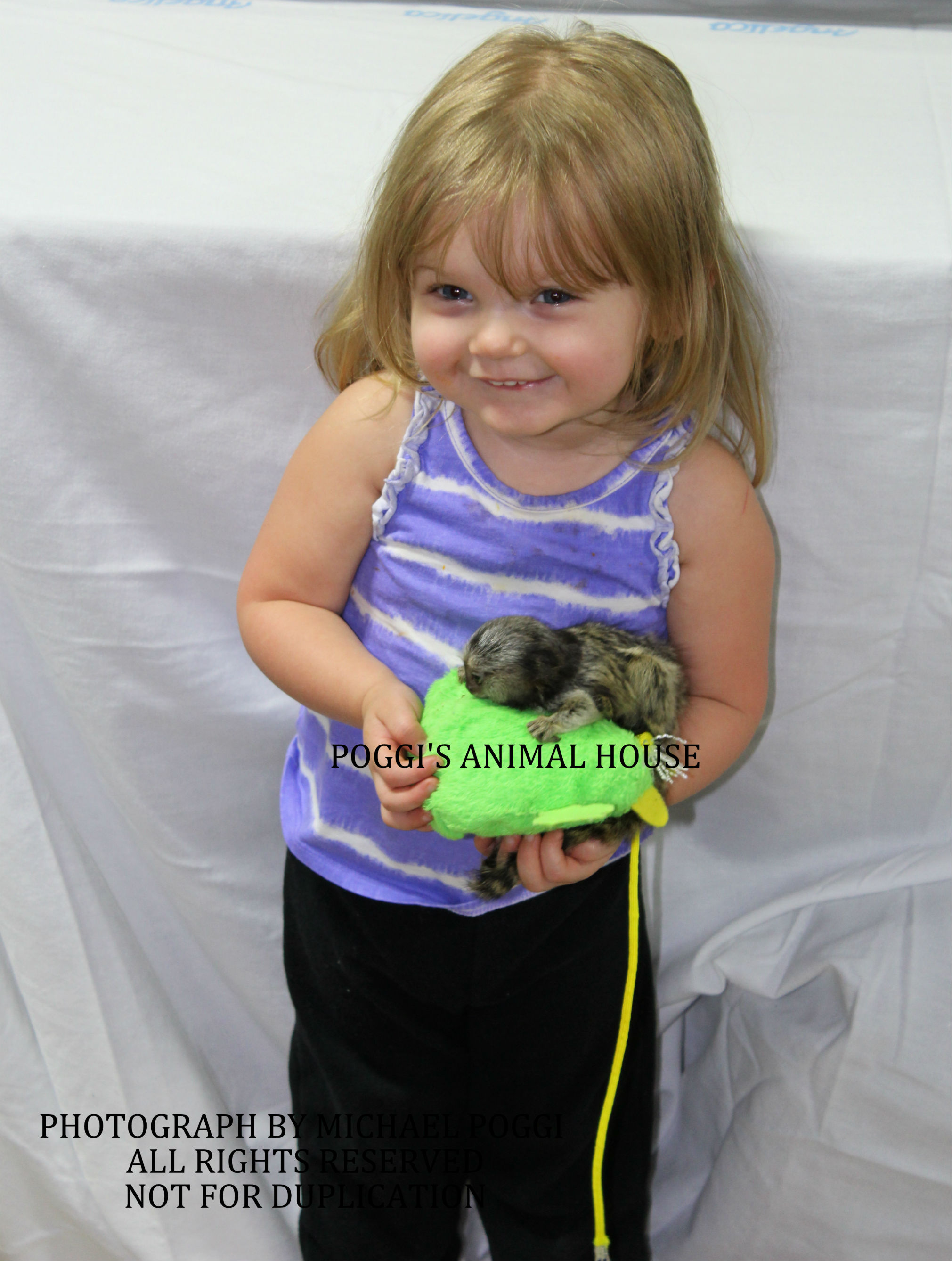 Little girl holding a marmoset - Baby Marmoset For Sale