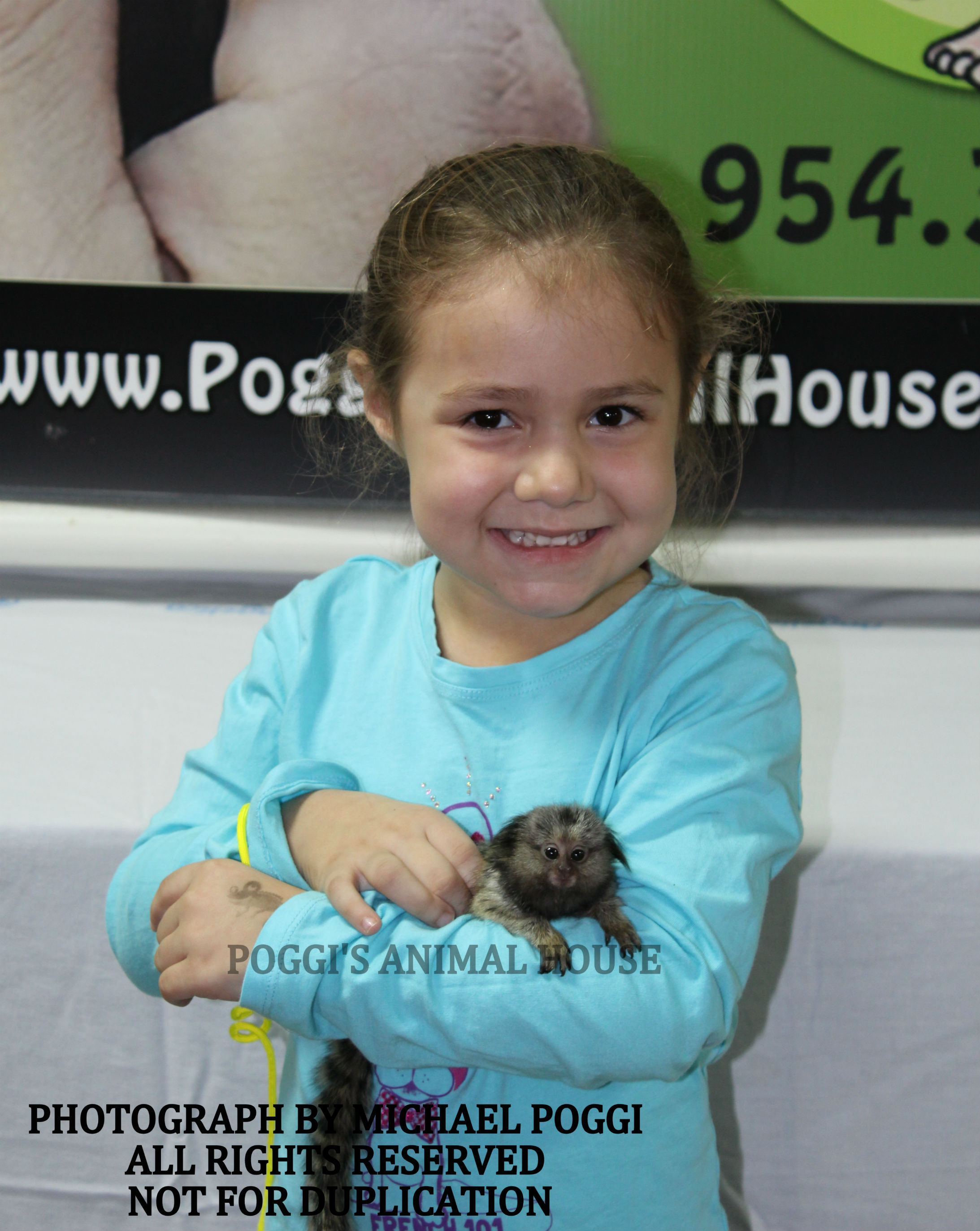 Little girl holding a marmoset - Baby Marmoset For Sale