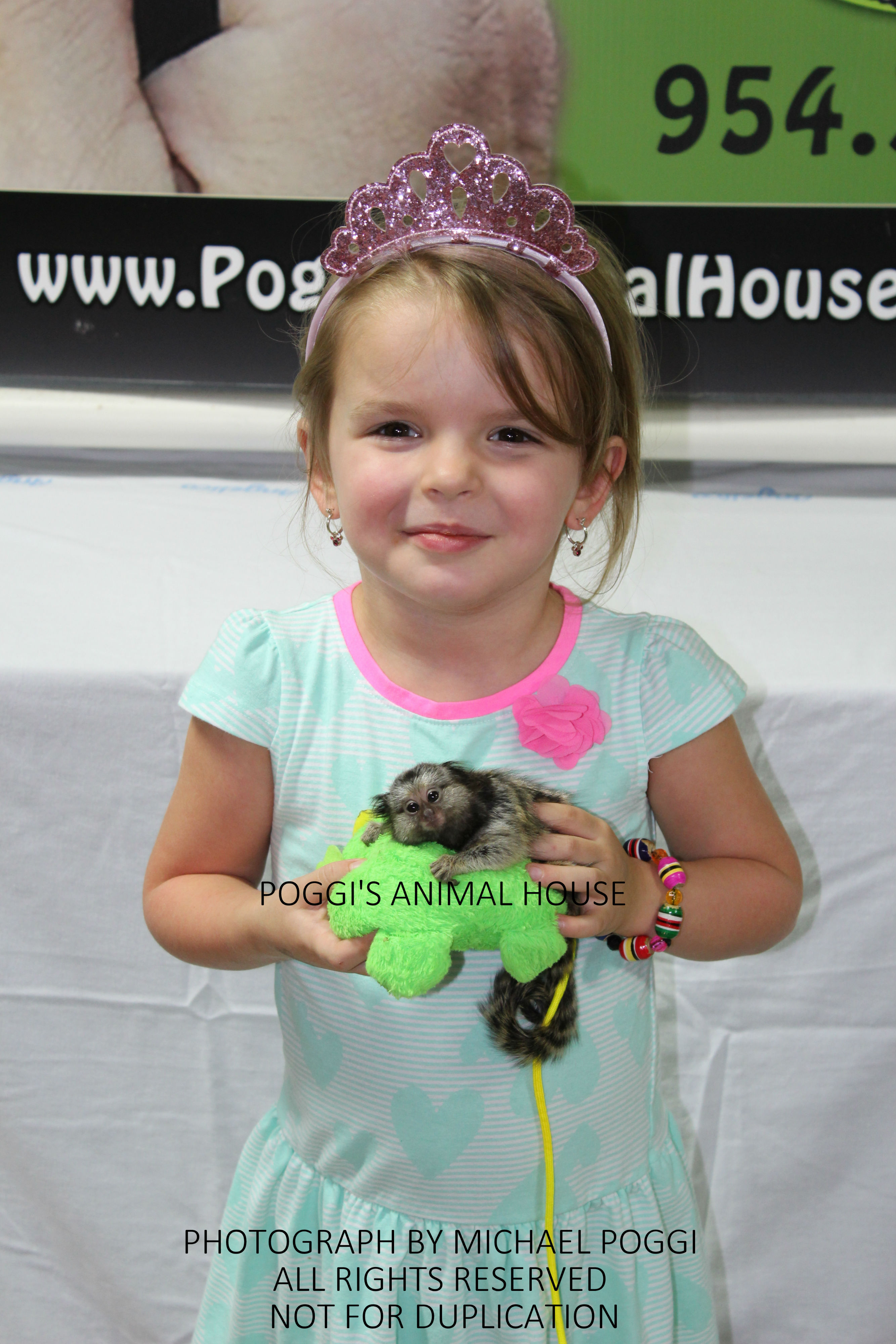 Little princess holding a baby marmoset - Baby Marmoset For Sale